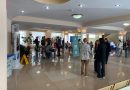 Участие в Абилимпиксе Участие в Абилимпиксе